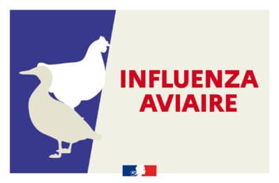 influenza-aviaire-vigilance