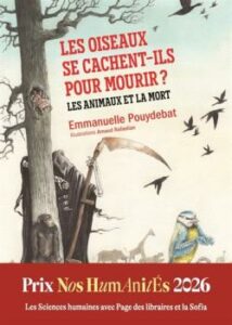 oiseaux