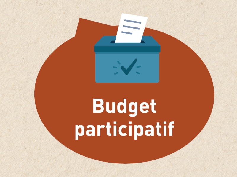 vignette site budget participatif